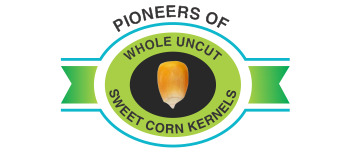 logo2