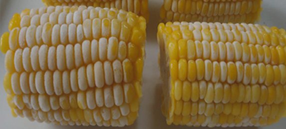 Frozen Sweet Corn
