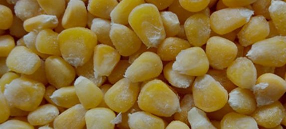 Corn On Cob